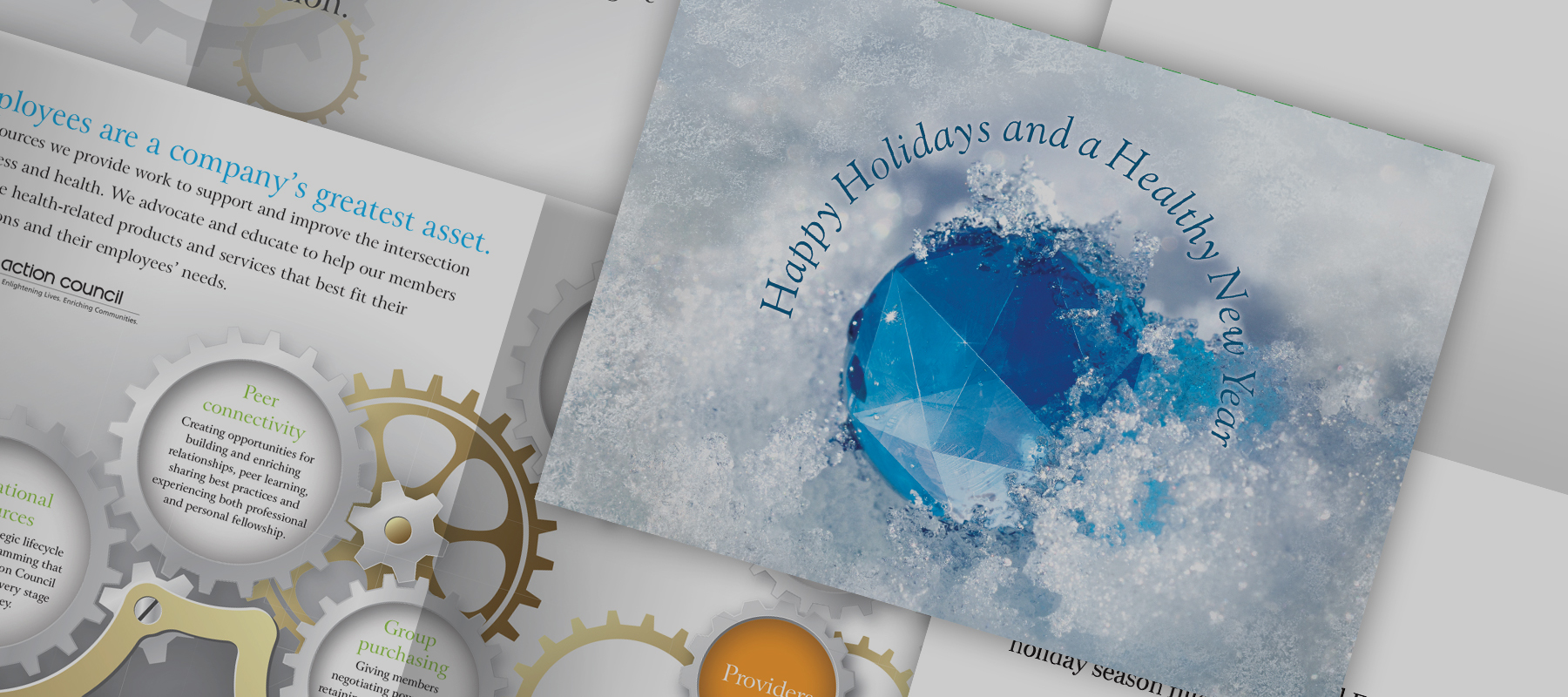 Health Action Council Sales Kit
